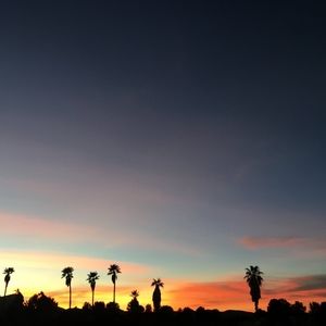 Meet your Posher, Cate